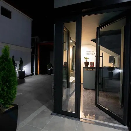 Hotel Mergan *